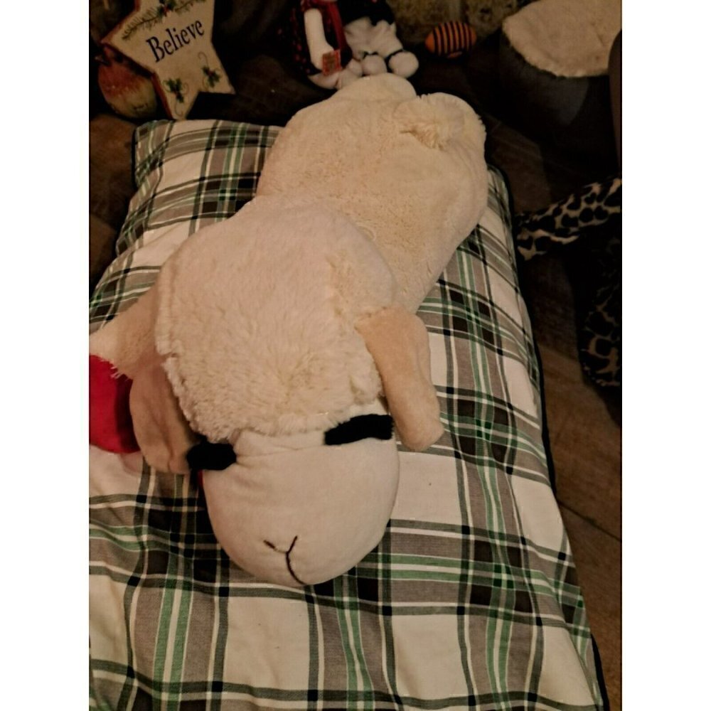 Multipet Lamb Chop Plush Dog Toy, Squeaker Inside, Jumbo Size, 24‎ inches